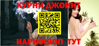 гидра Моздок