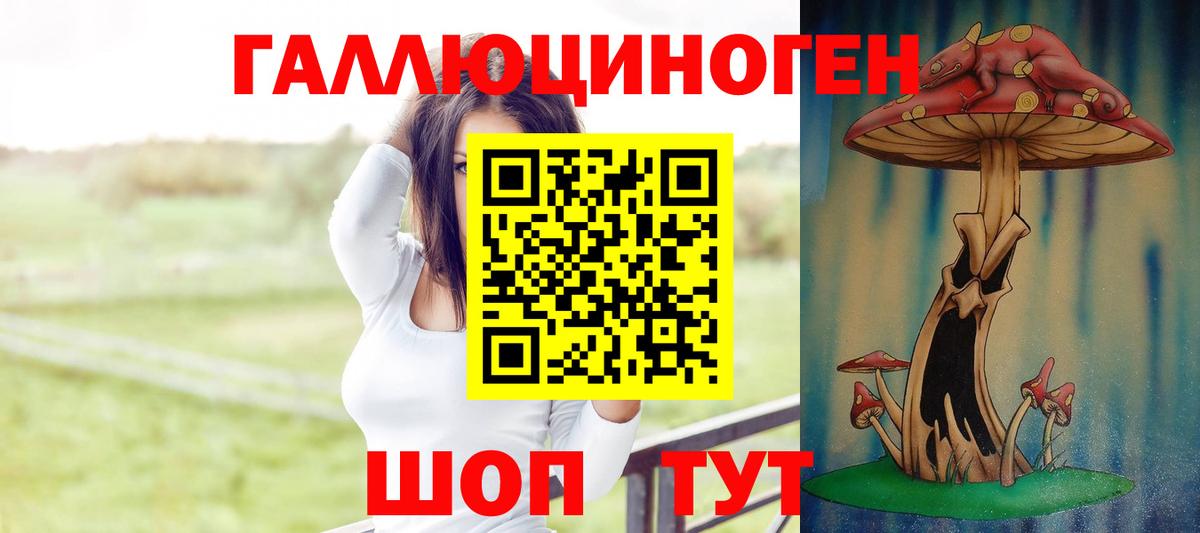Псилоцибиновые грибы Psilocybine cubensis  Галлюциногенные грибы MAGIC MUSHROOMS  Тулун  Вход с VPN 